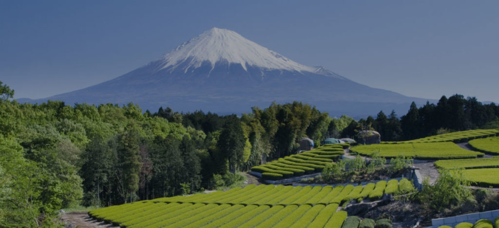 japanese green tea online`