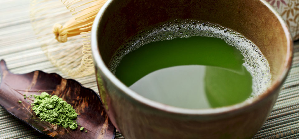 Components of Matcha Green Tea